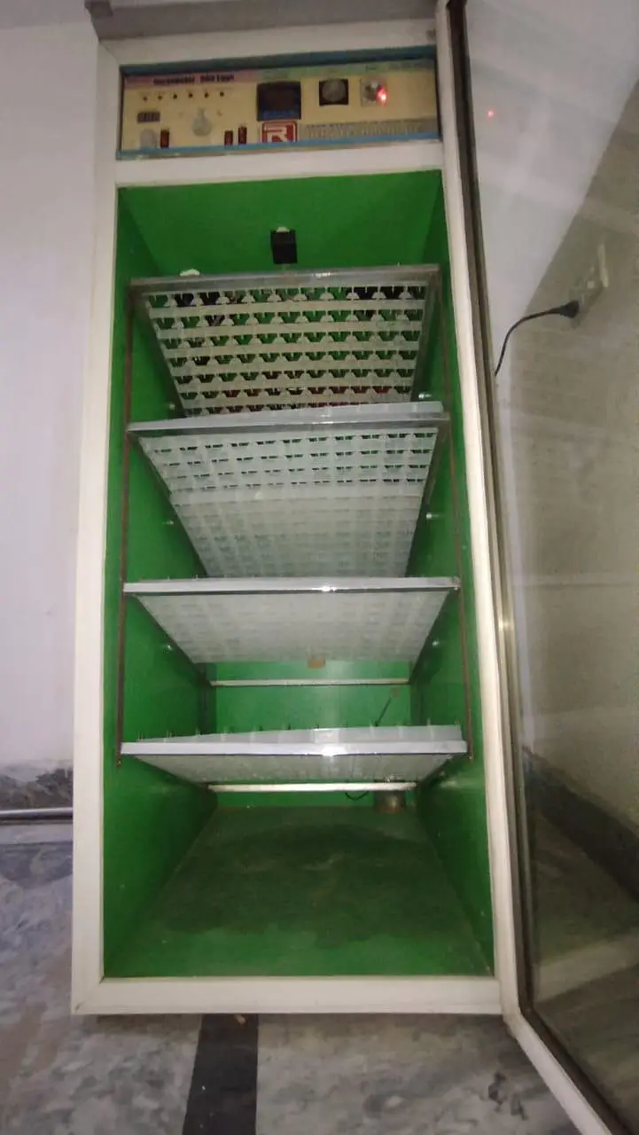 incubator 500 aggs capacity — photo 6