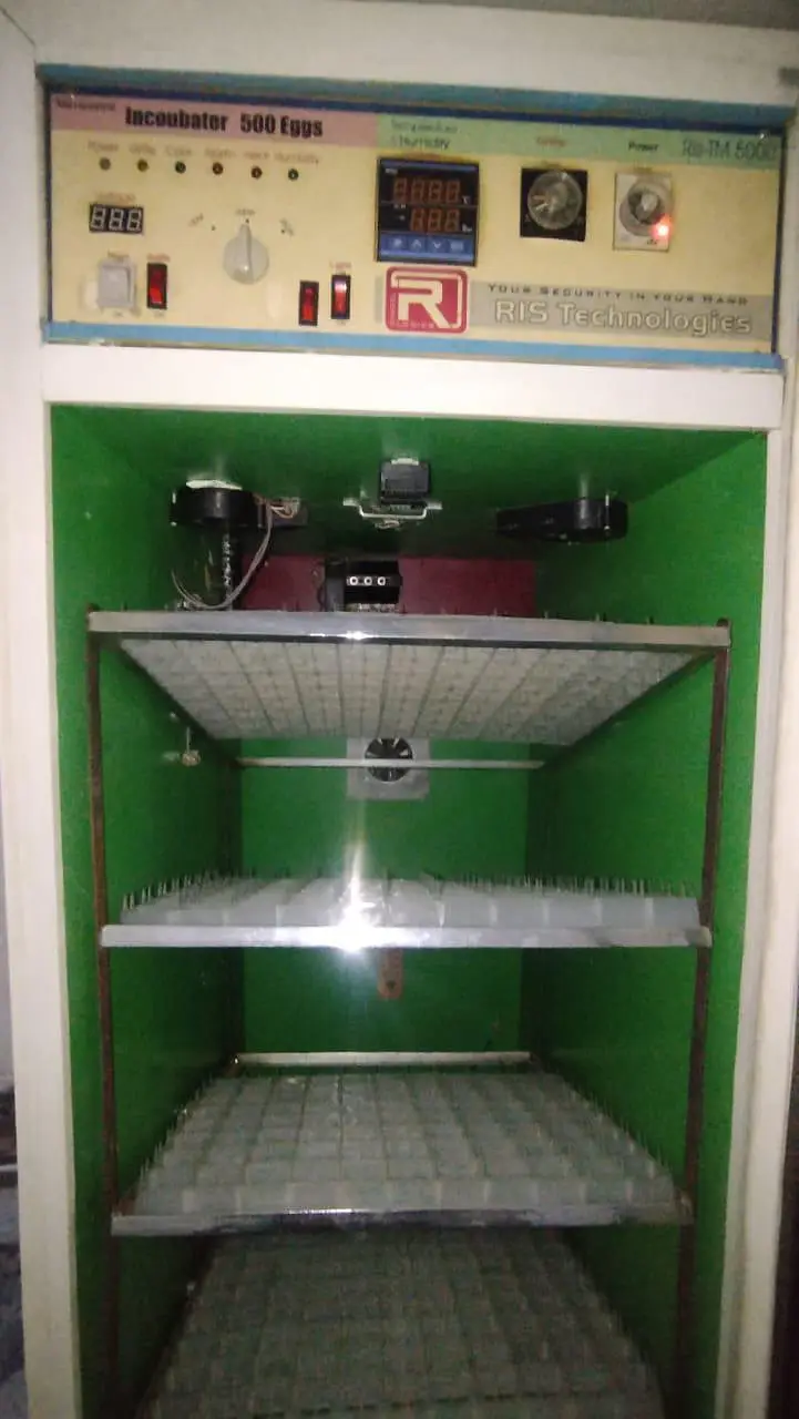 incubator 500 aggs capacity — photo 7
