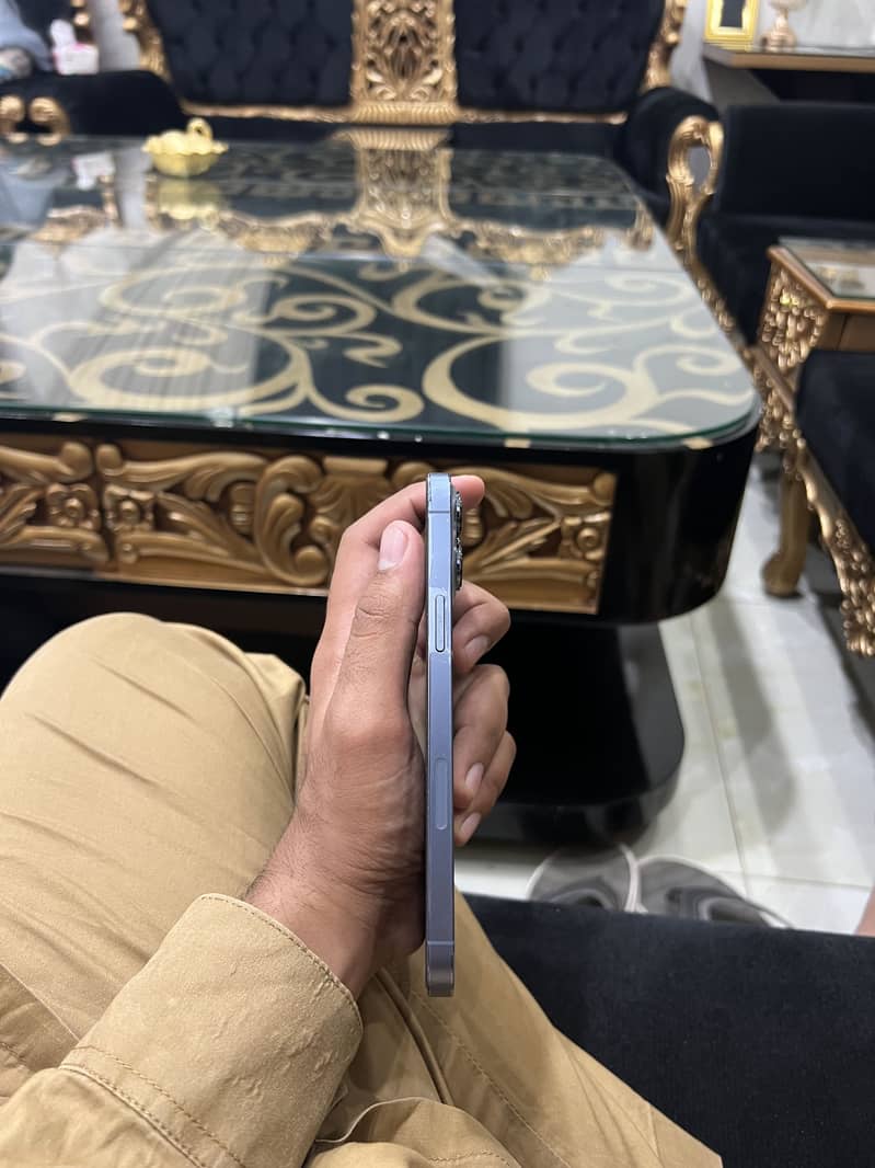 Apple iPhone 13 Pro Max 1