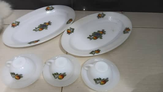 Dinner set (orignal nashpati france)