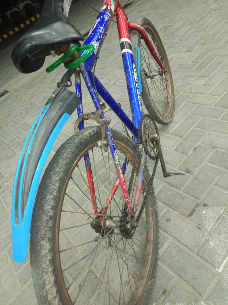 China bycycle 1