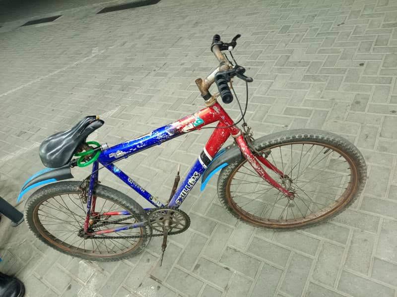 China bycycle 2