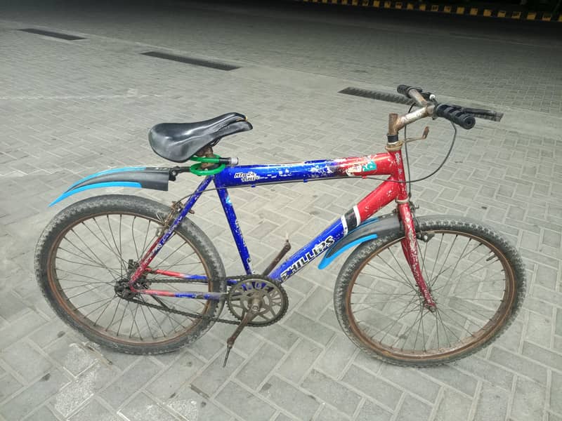 China bycycle 3