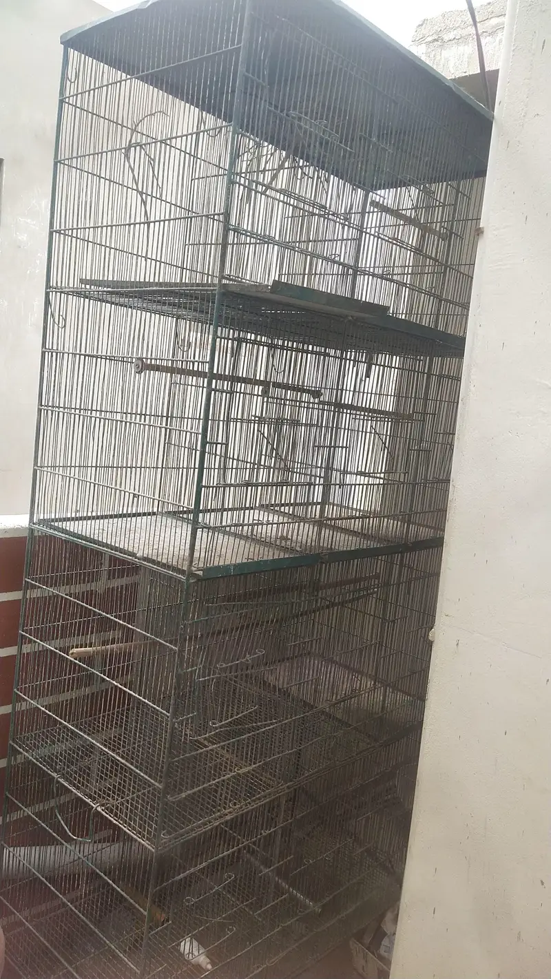 12 portion parrot cages — photo 2