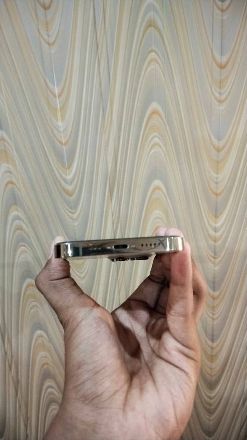 Apple iPhone 13 Pro 2