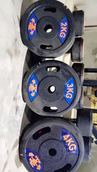 dumbbells & Walk machine