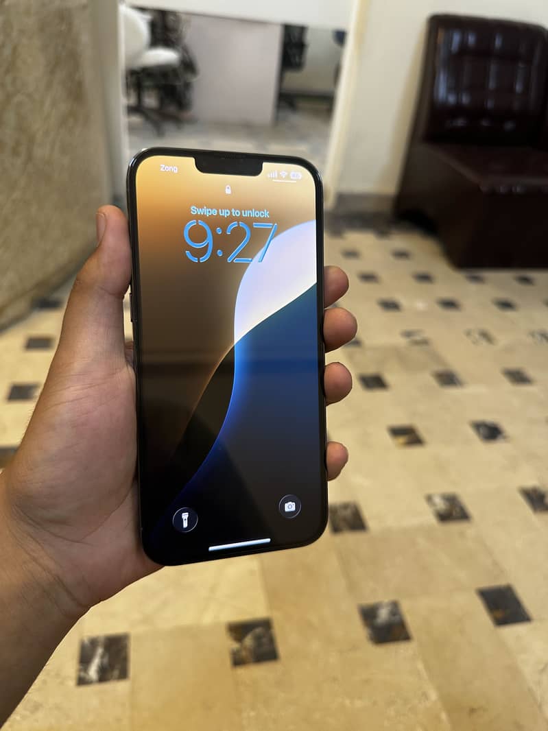 iPhone 13 Pro Max 1