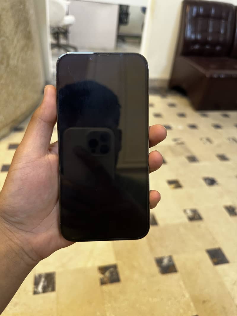 iPhone 13 Pro Max 2