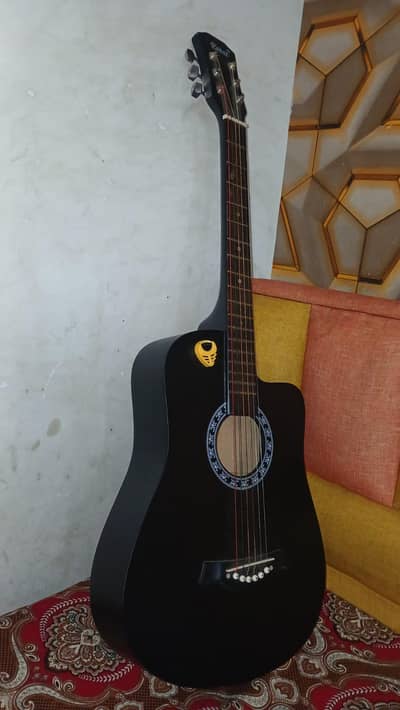 like new guitar with nsils and bag
