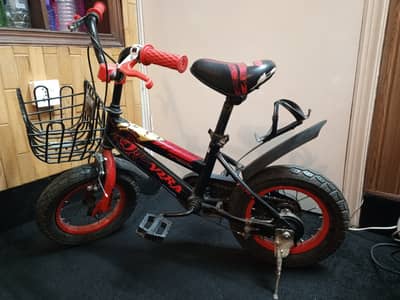 Small Cycle (Age 4 to 7)