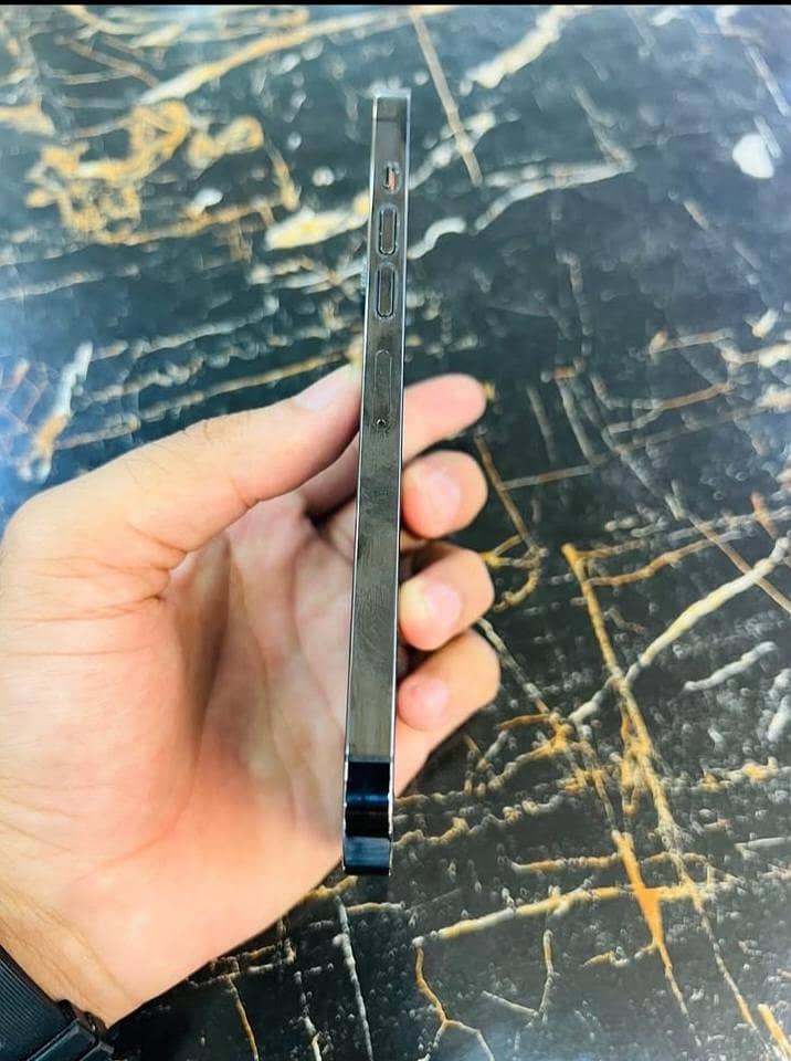 Apple iPhone 13 Pro Max 6