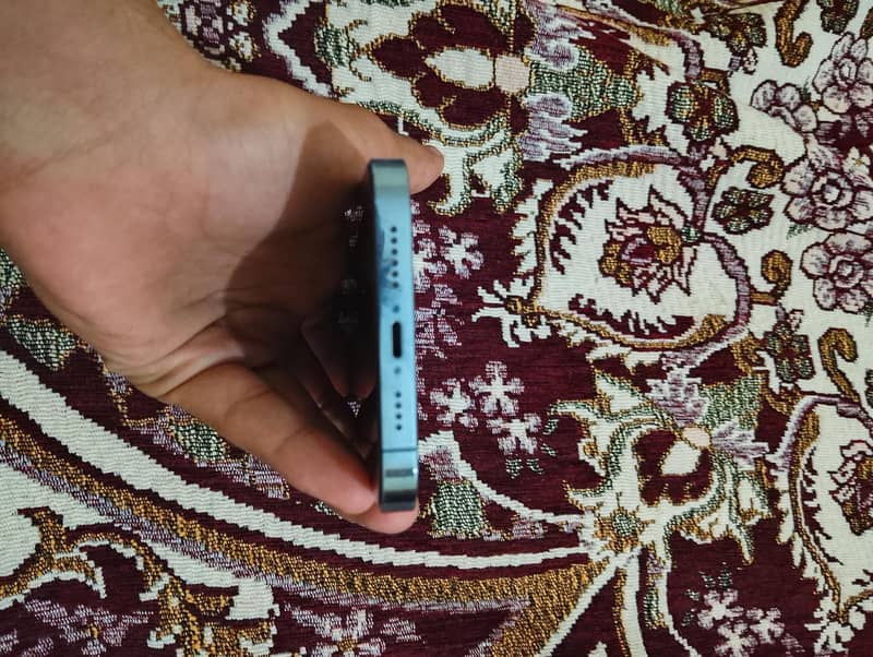 Apple iPhone 13 Pro Max 1