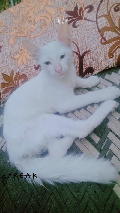 For sale