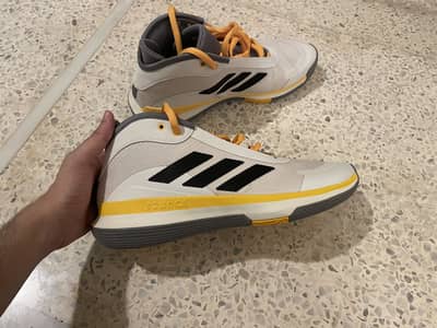 Adidas Bounce Legends | New | 44.5 | Men | Imported