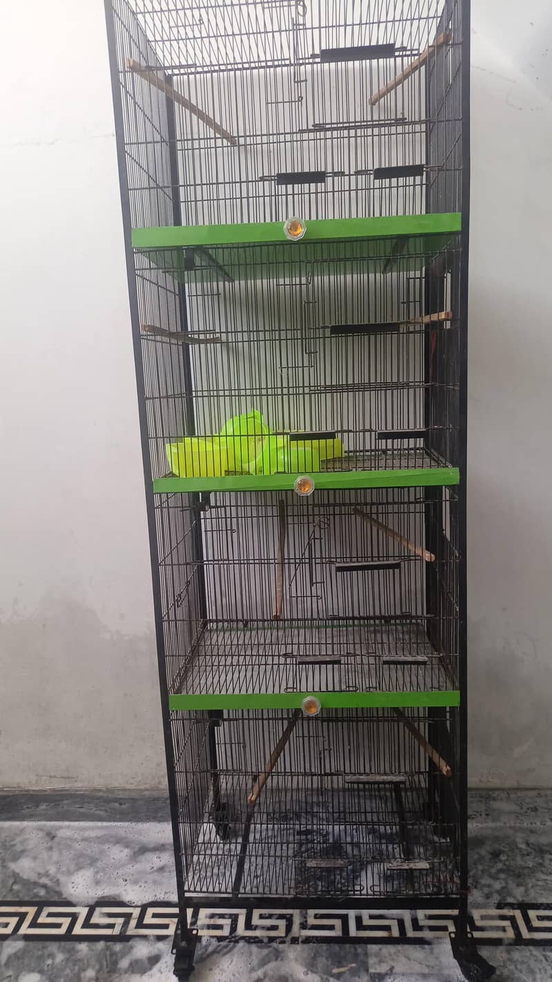 Bird cage 0