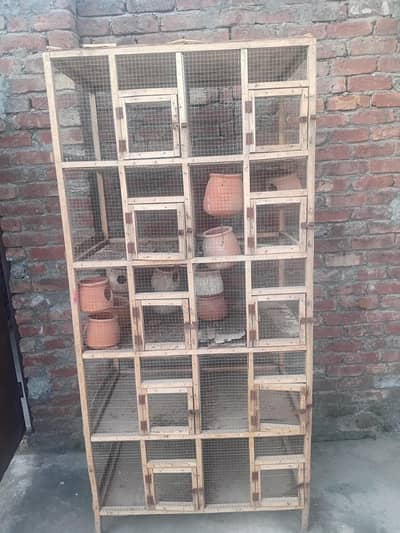 10 door cage plus aik small cage