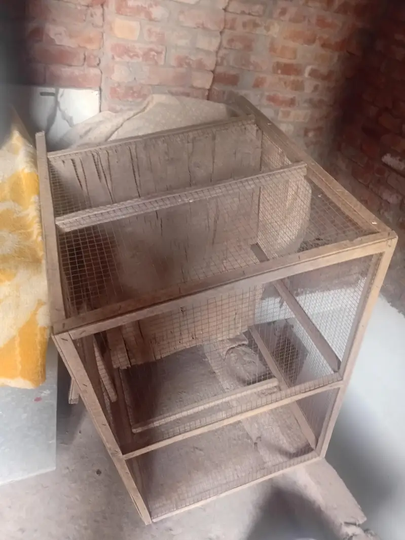 10 door cage plus aik small cage — photo 2