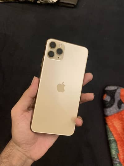 iPhone 11 Pro Max (lush)