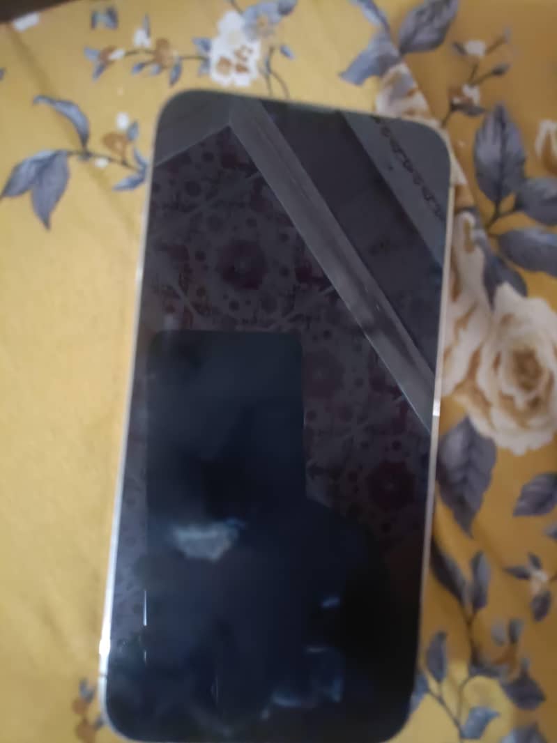 Apple iPhone 13 Pro Max 1