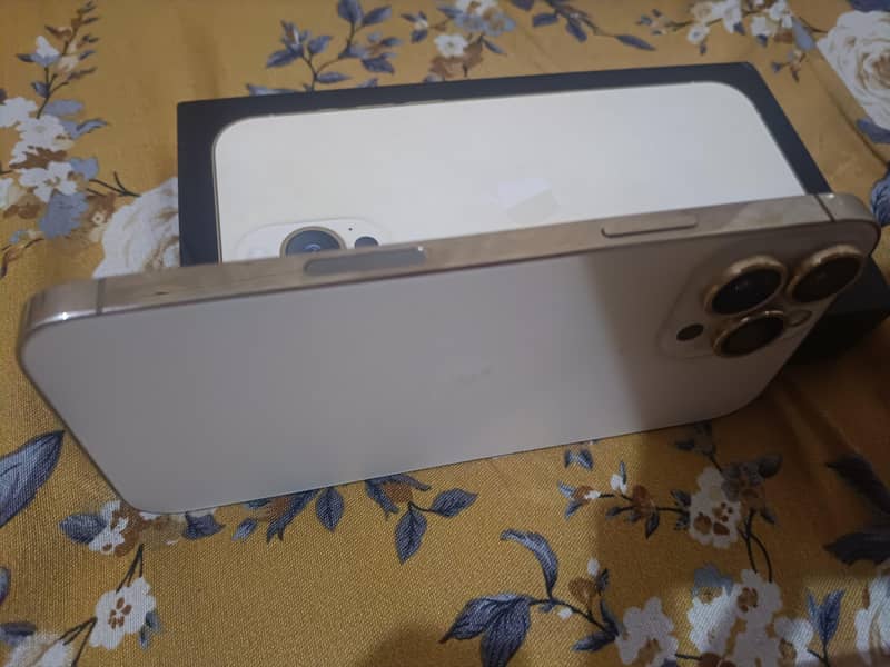 Apple iPhone 13 Pro Max 2