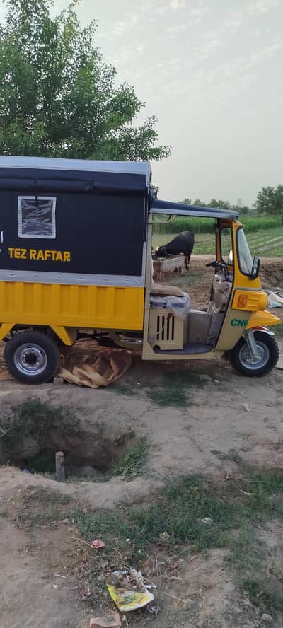 tezraftaar 229cc