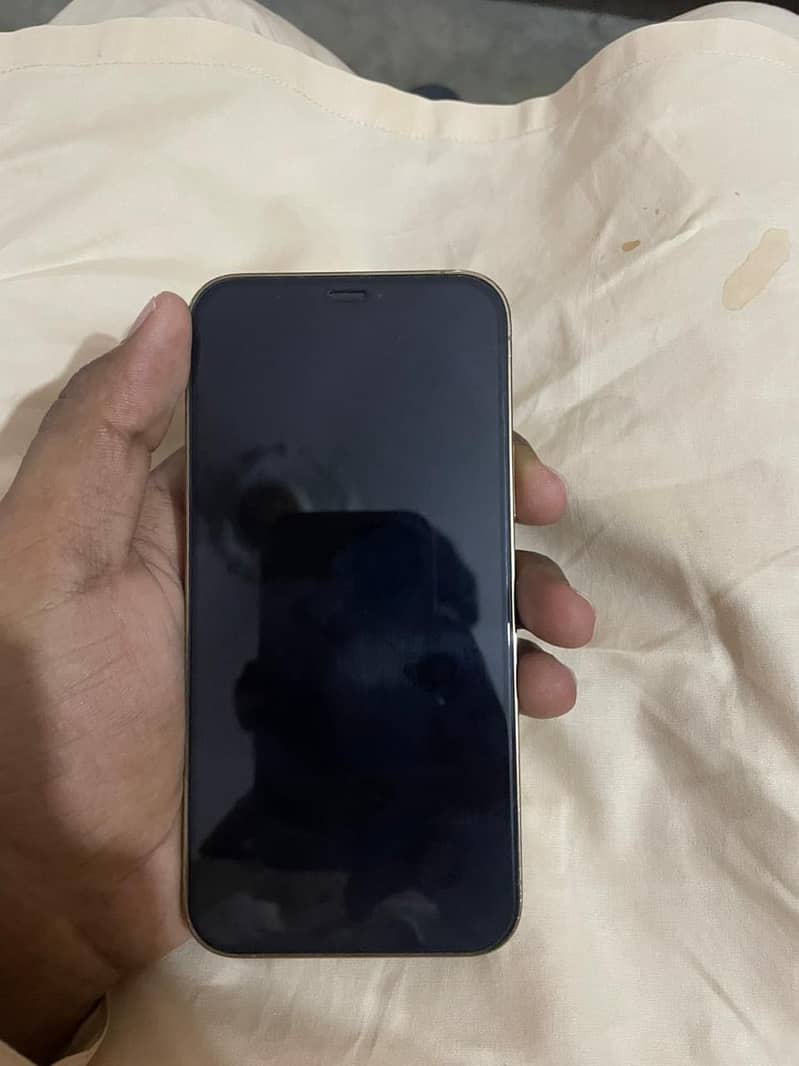 Apple iPhone 12 Pro 4