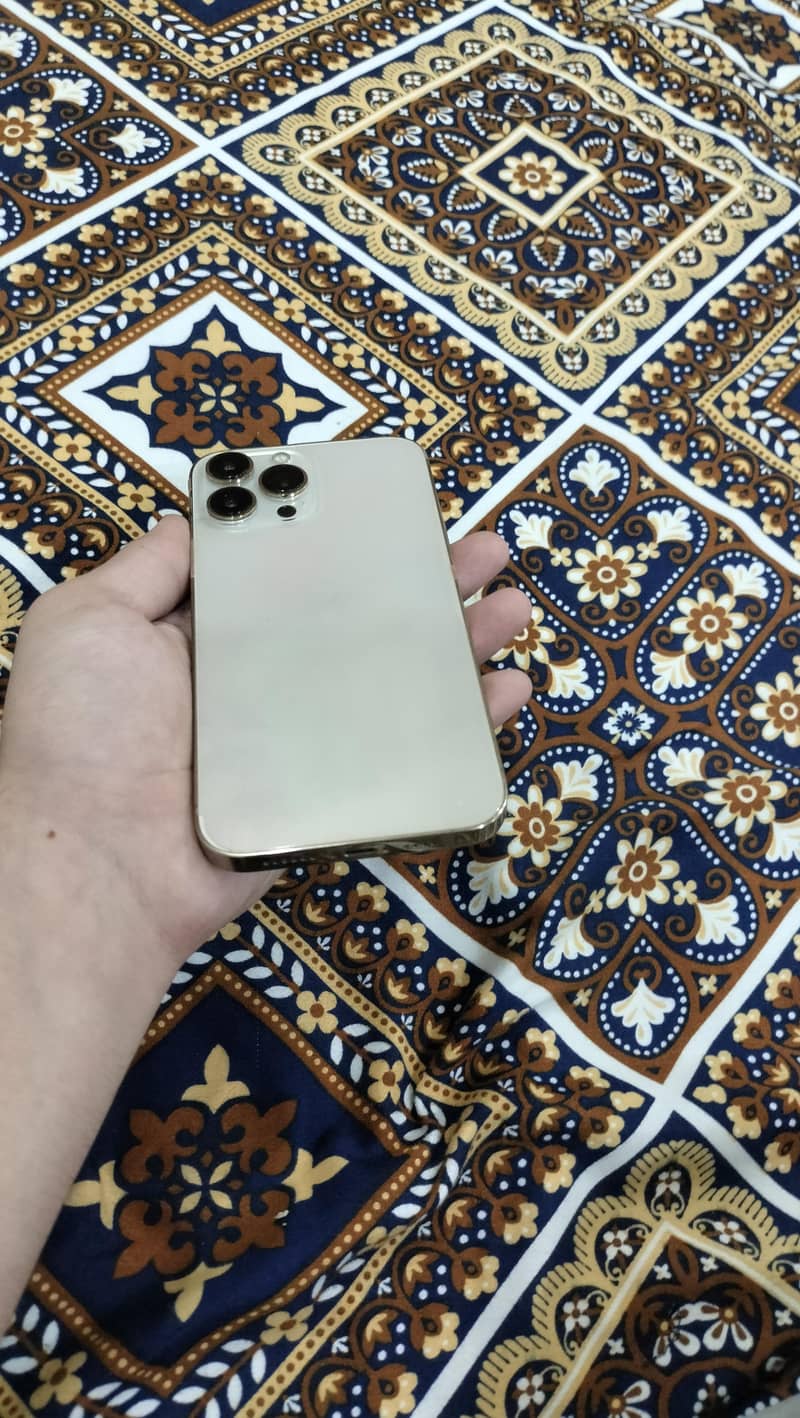 Apple iPhone 13 Pro Max 2