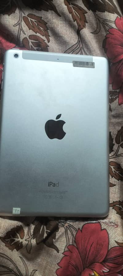 iPad mini 2