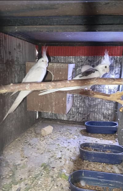 v paid pair to eno bredr pair