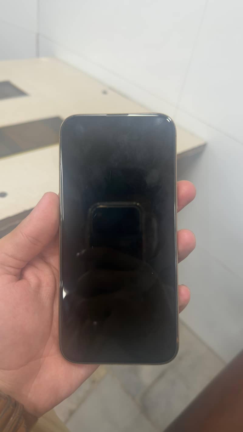 Apple iPhone 16 Pro Max 1