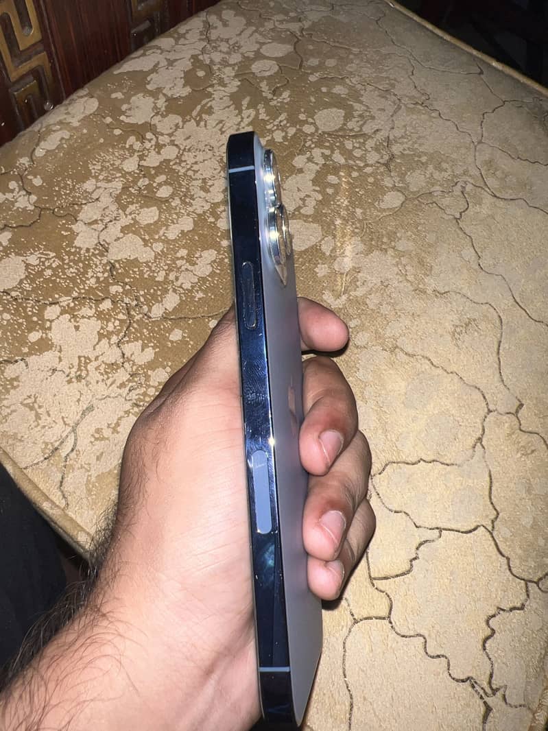 Apple iPhone 13 Pro Max 1