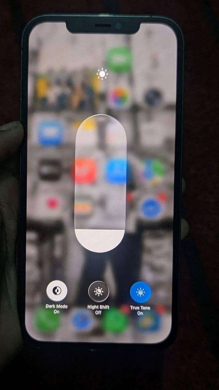 12 pro max 3