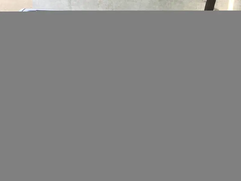 Bakra for sell — photo 2