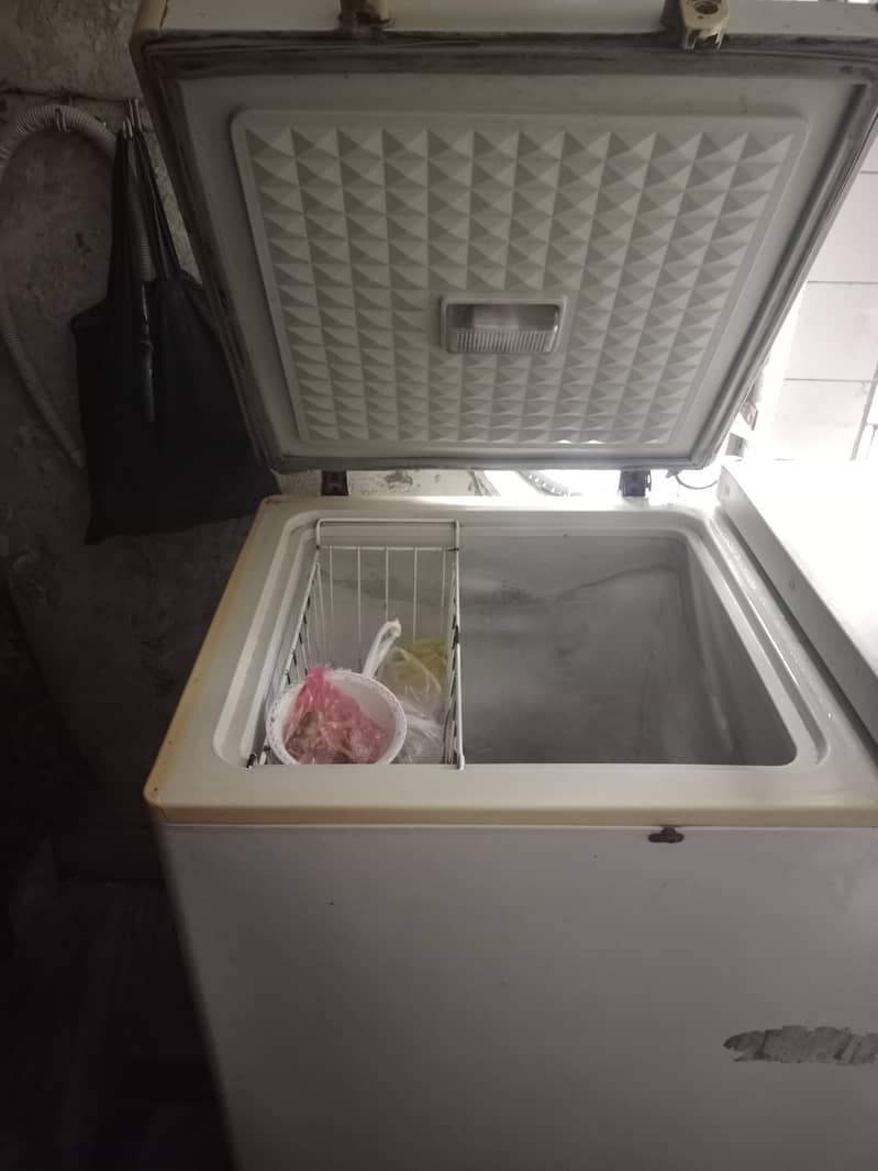 freezer 1