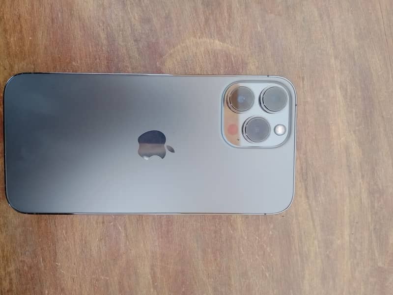Apple iPhone 13 Pro Max 1