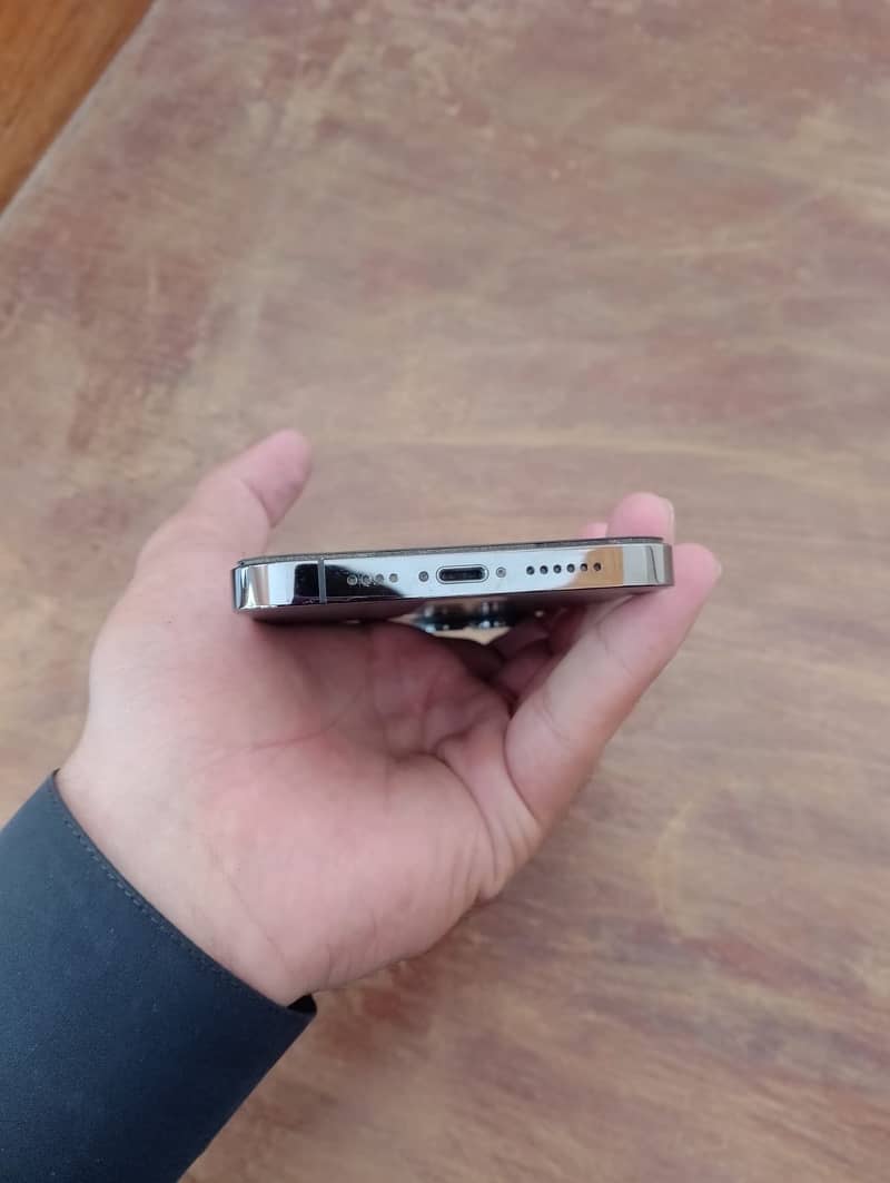 Apple iPhone 13 Pro Max 2