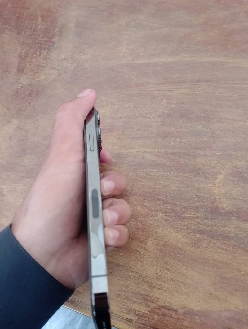 Apple iPhone 13 Pro Max 4