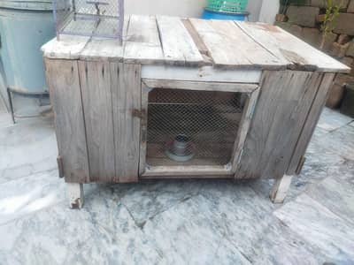 Hen cage plus small parrot cage with water funnel