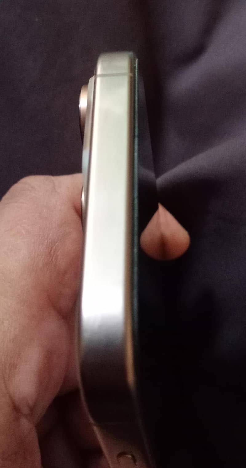 Apple iPhone 16 Pro Max 1