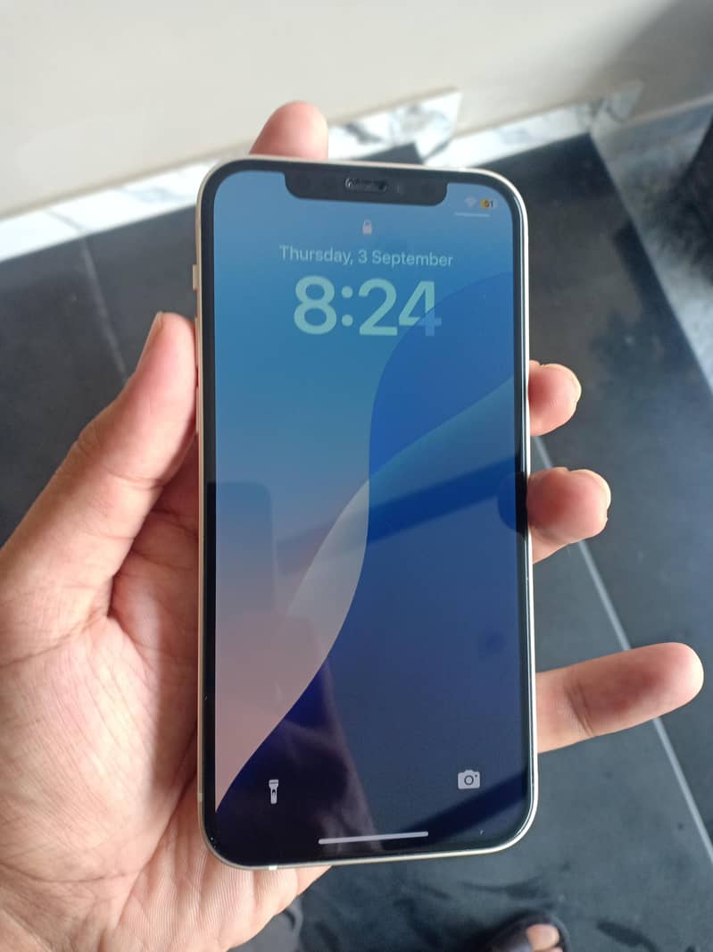 Apple iPhone 12 0