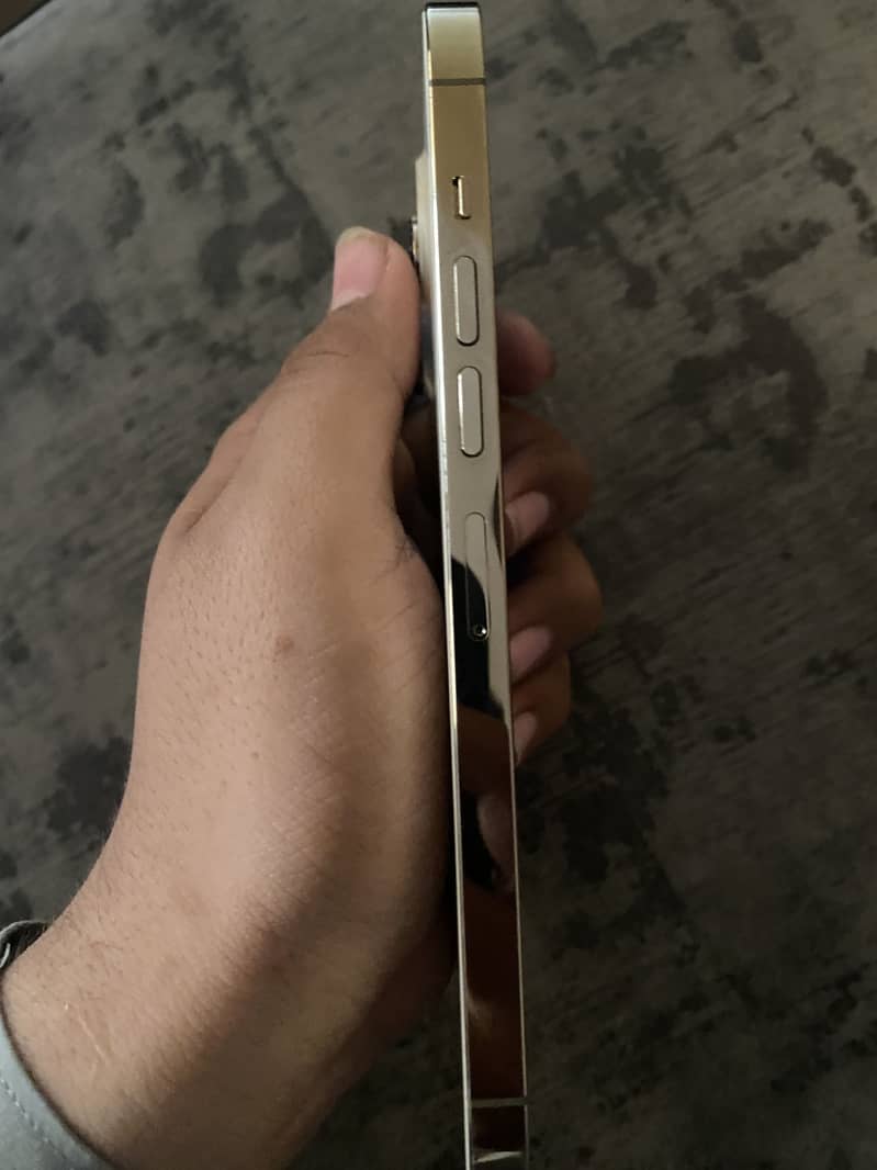 Apple iPhone 13 Pro Max 0