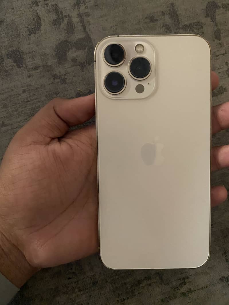 Apple iPhone 13 Pro Max 1