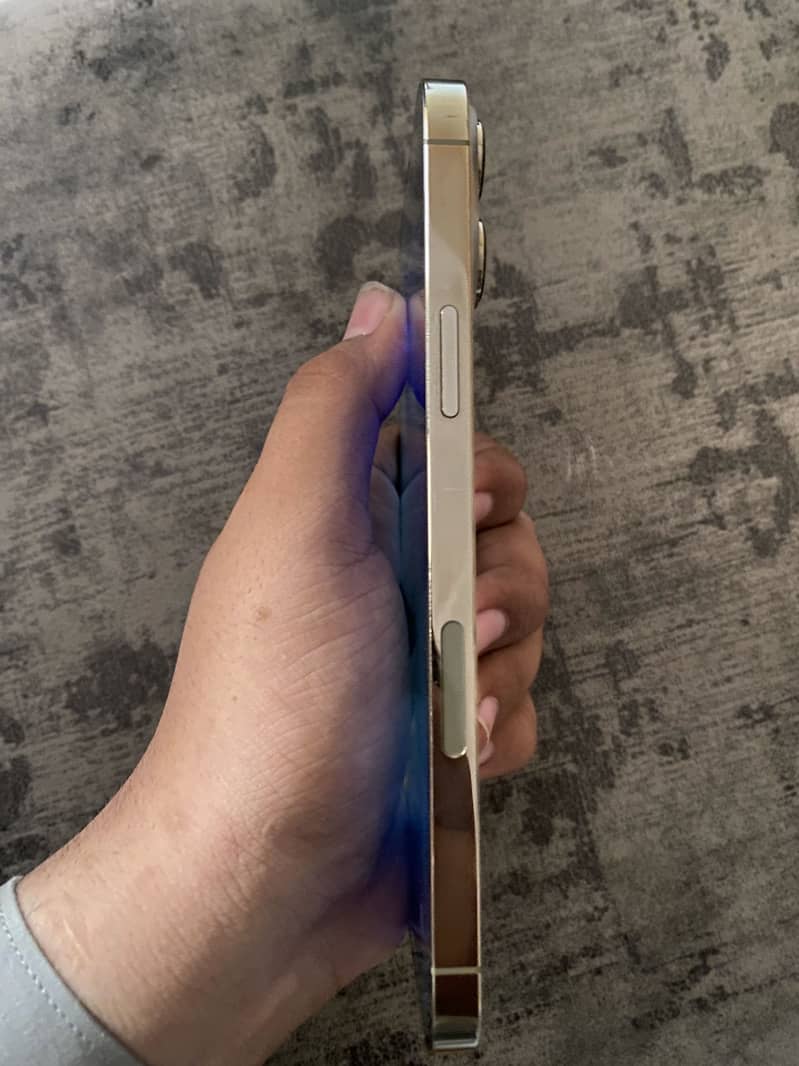 Apple iPhone 13 Pro Max 2