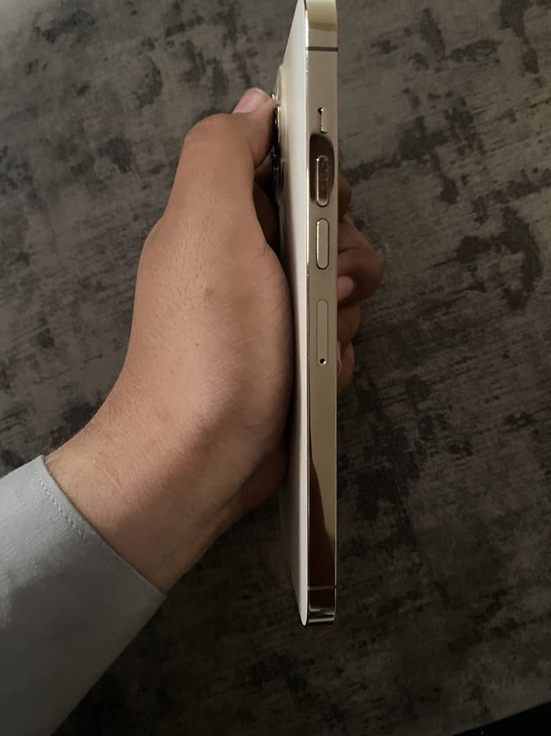 Apple iPhone 13 Pro Max 3