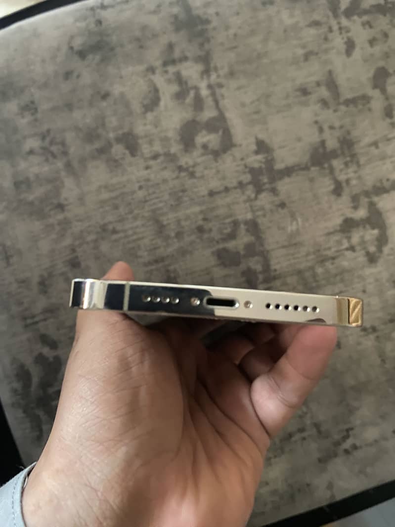 Apple iPhone 13 Pro Max 4