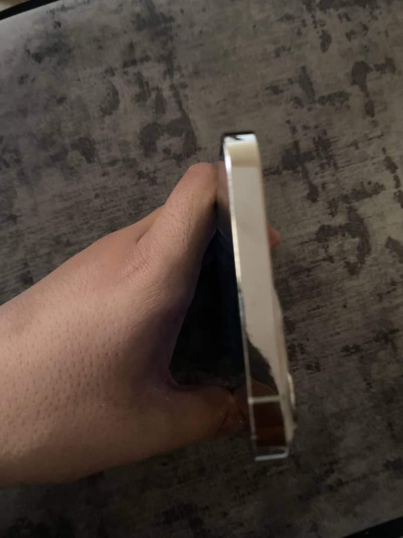 Apple iPhone 13 Pro Max 5