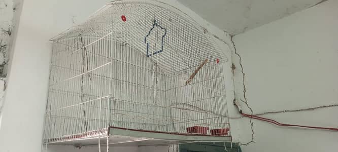 Cages for sale