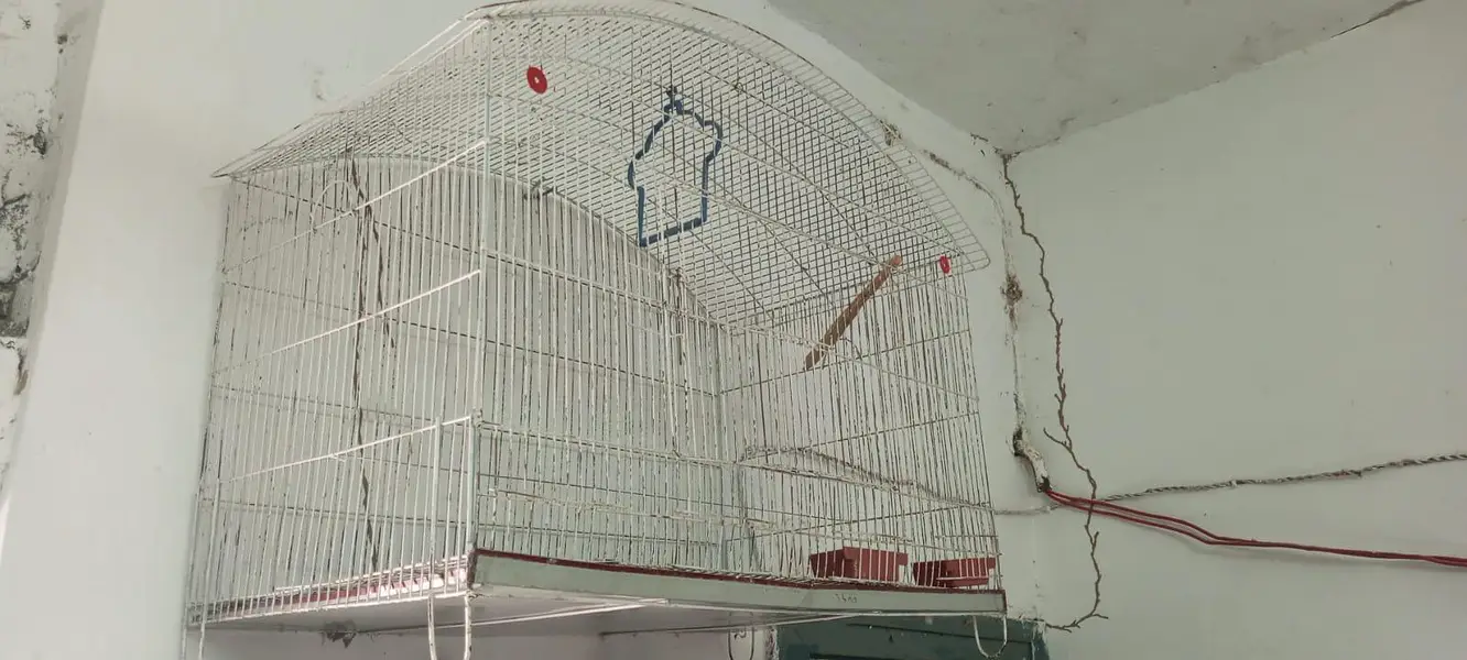 Cages for sale