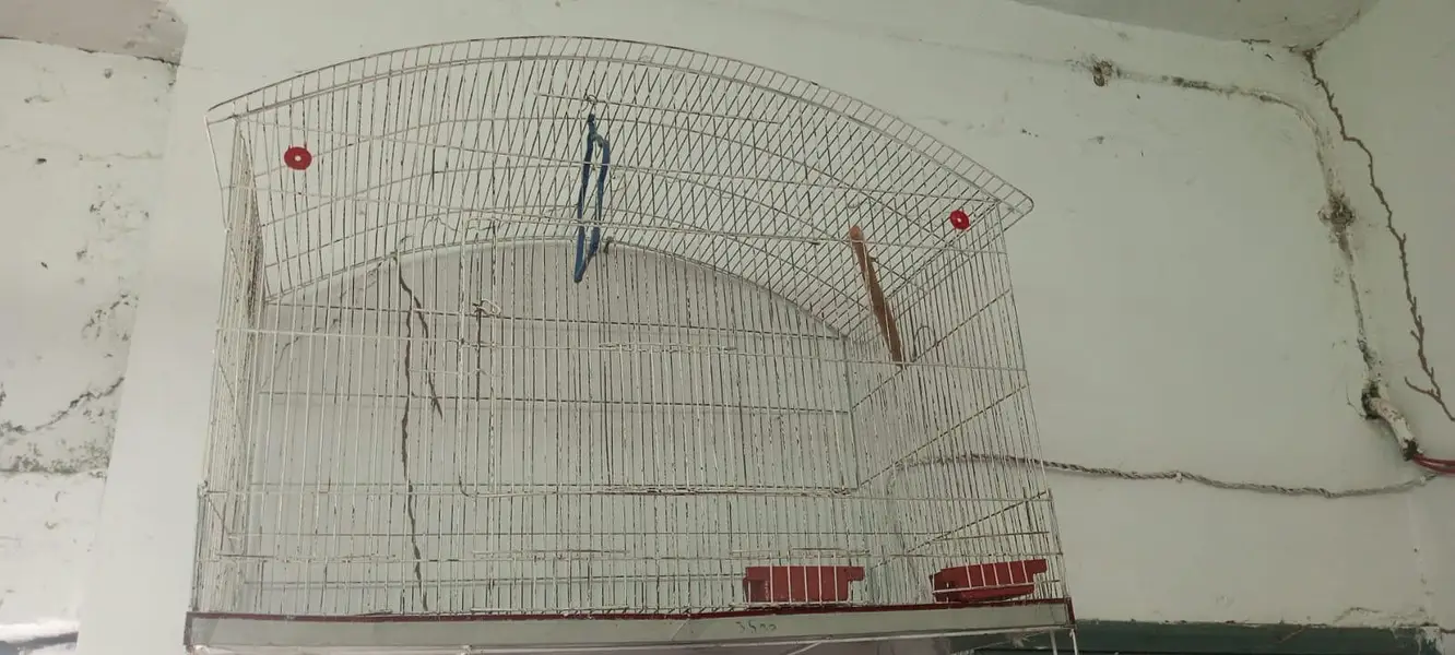 Cages for sale — photo 2