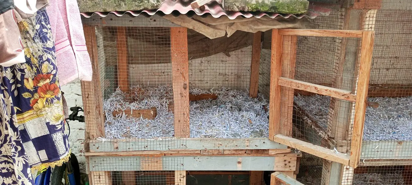 Cages for sale — photo 3